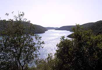 Lim-Fjord. (novala) Lim-Fjord. (novala)