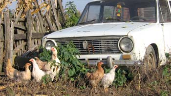 Old cars. (novala) Old cars. (novala)
