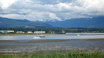 Comox Glacier. (novala) Comox Glacier. (novala)
