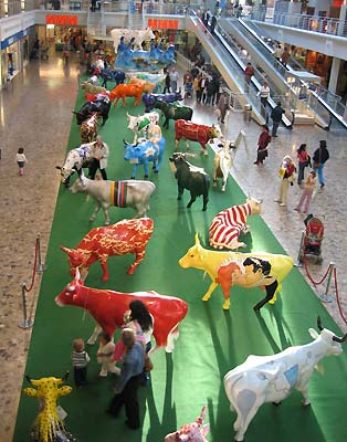 Painted cows in Geneva. (novala) Painted cows in Geneva. (novala)