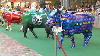 Painted cows in Geneva. (novala) Painted cows in Geneva. (novala)