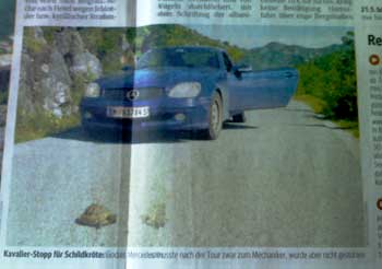 Mercedes SLK. (Kurier) Mercedes SLK. (Kurier)