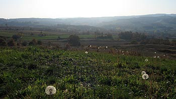 On the hills of Magura. (novala) On the hills of Magura. (novala)