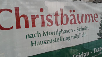 Mondphasenschnitt. (novala) Mondphasenschnitt. (novala)