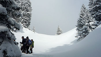 Snow on Niederalpl. (novala)