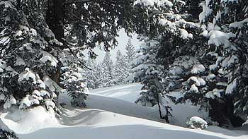 Snow on Niederalpl. (novala)