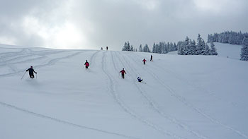 Snow on Niederalpl. (novala)