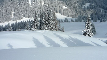Snow on Niederalpl. (novala)