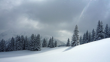 Snow on Niederalpl. (novala)