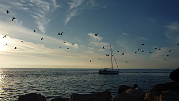 Boat in Piran. (novala) Boat in Piran. (novala)