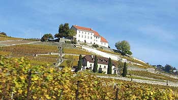 Castle. (novala) Castle. (novala)