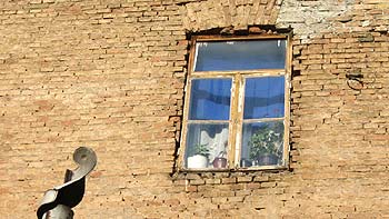 Window. (novala)