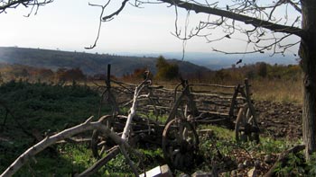 Fields. (novala) Fields. (novala)