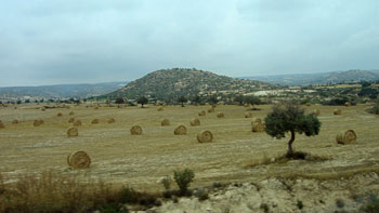Cyprus' fields. (novala) Cyprus' fields. (novala)